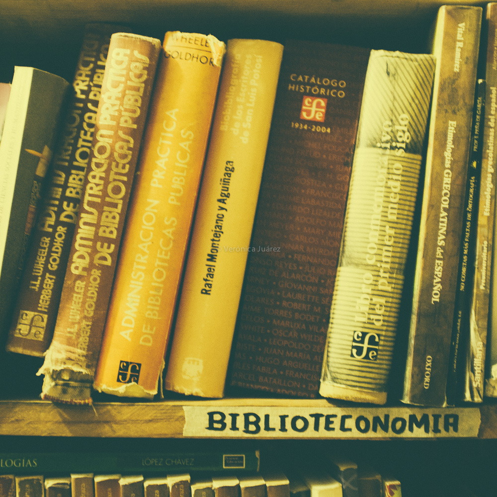 biblioteconomia shelf