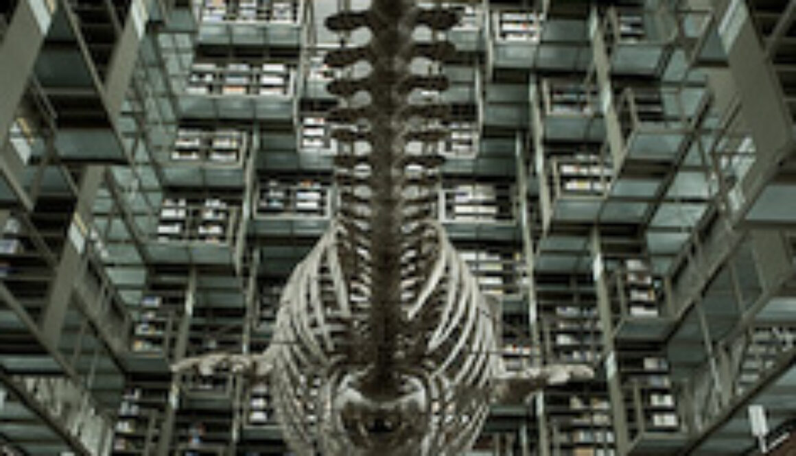 Biblioteca Vasconcelos