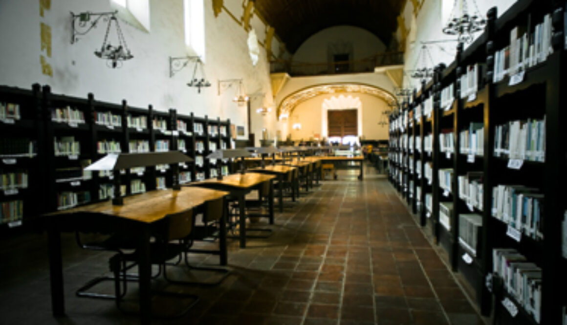 Biblioteca Pública Gertrudis Bocanegra