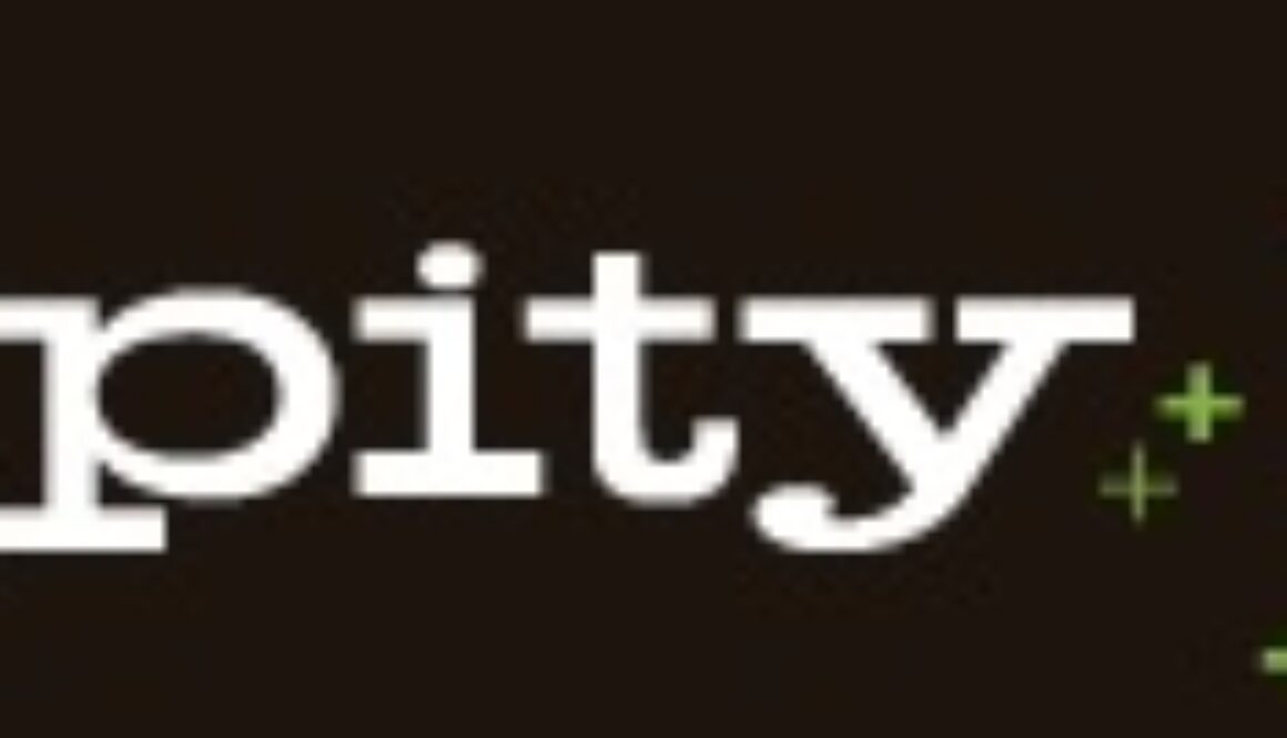 dipity logo