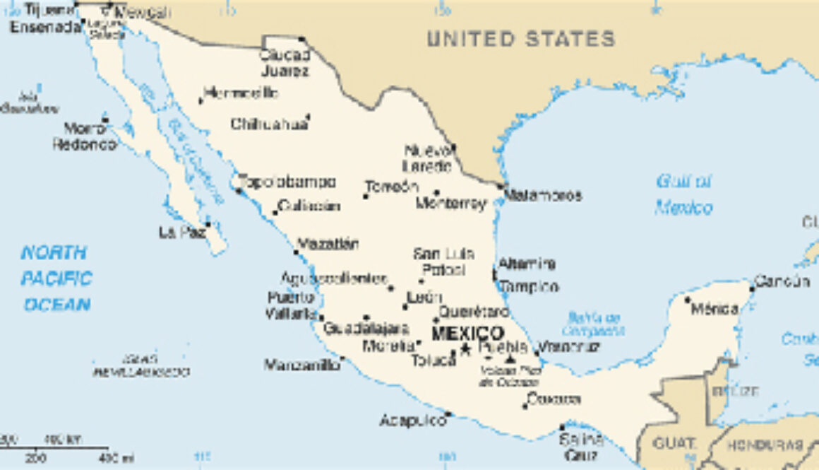 Informe Mundial de la IFLA 2010, México