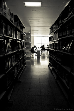 Biblioteca Facultad de Ingeniería, UAEM
