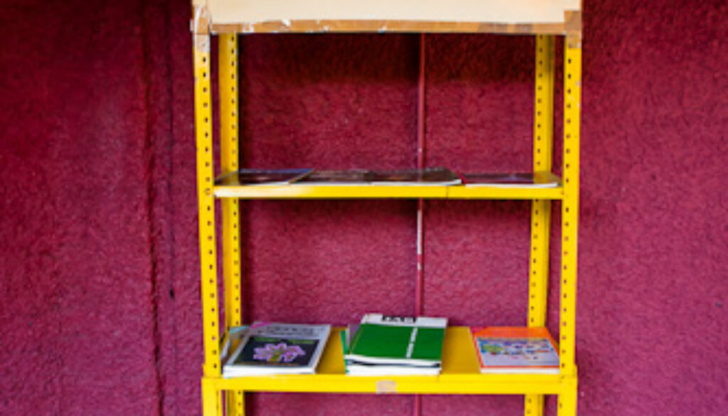 La biblioteca callejera La biblioteca callejera