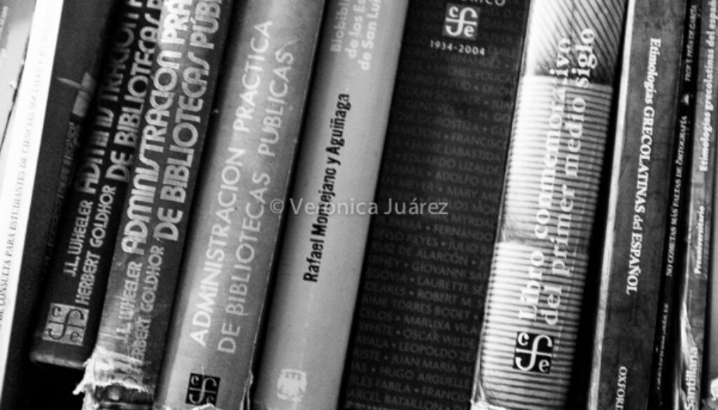 biblioteconomia