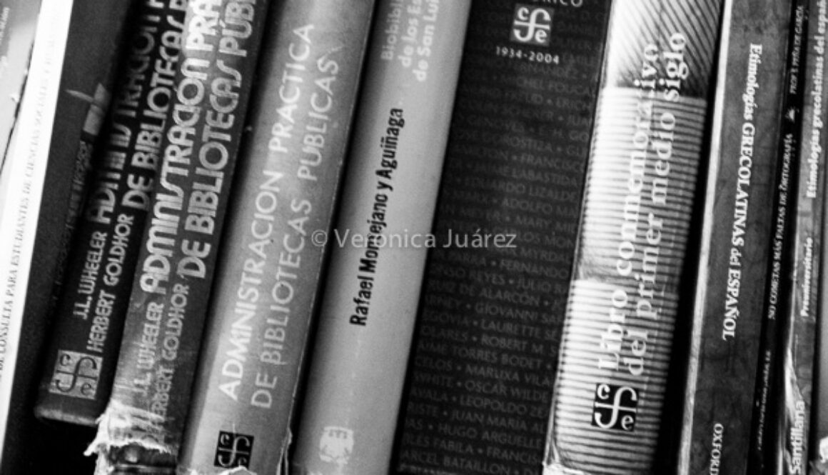 biblioteconomia
