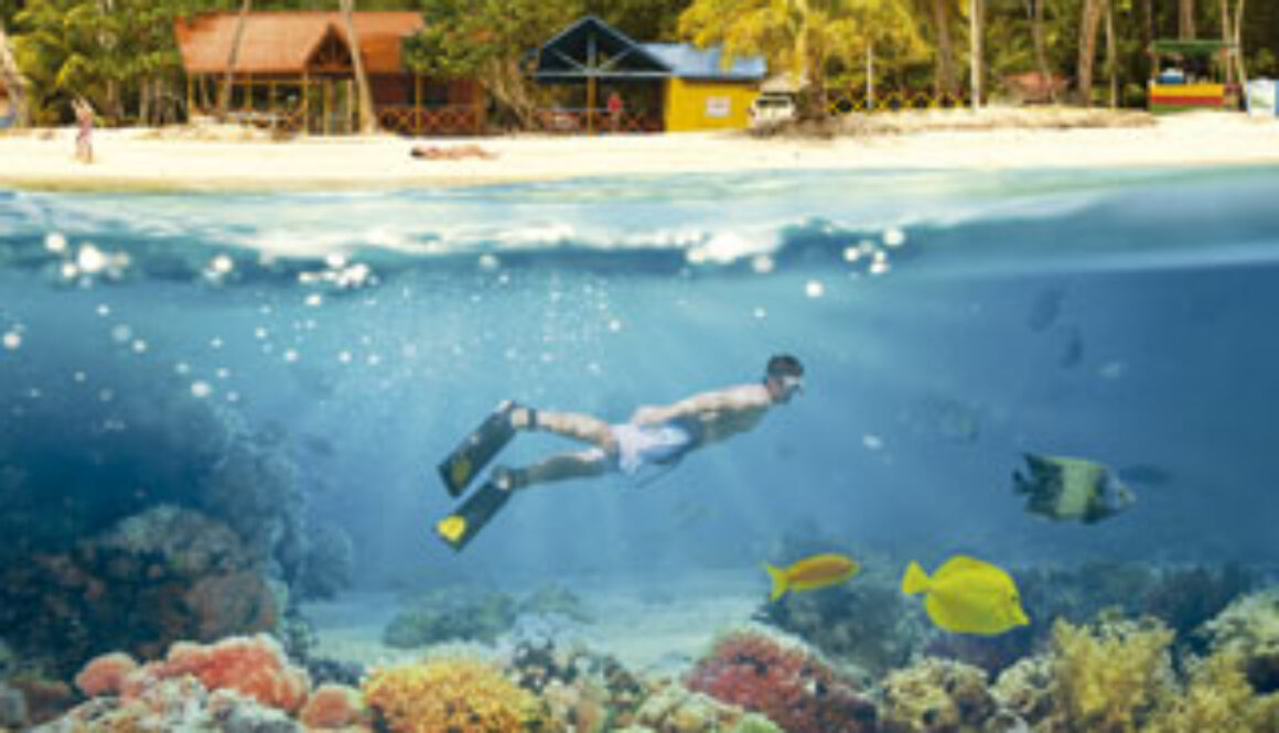 realismomagicobig realismomagicobig