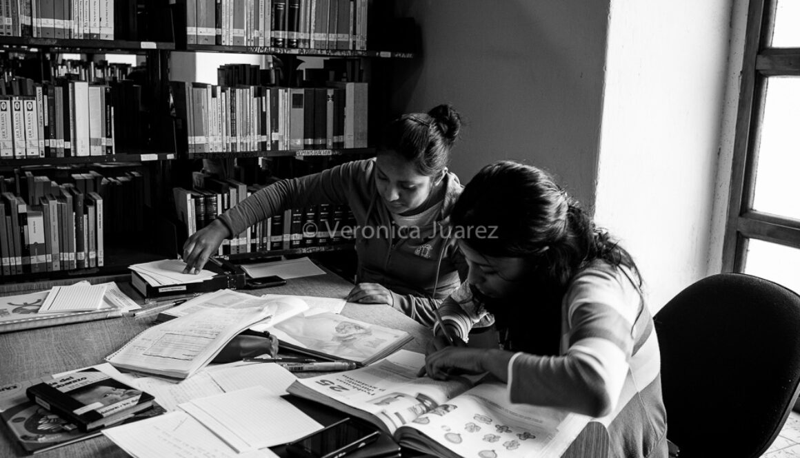 biblioteca anastasio lopez sanchez-9