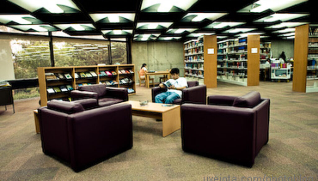 El futuro de las bibliotecas: ¿librerías, empresas, agentes subversivos?