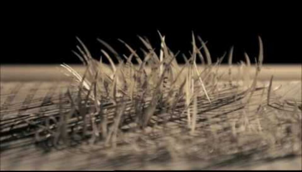 “Un libro cobrando vida” “Un libro cobrando vida”