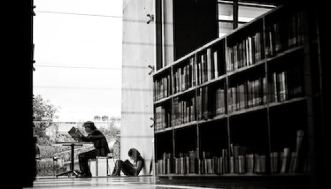 Sobre la biblioteca Sobre la biblioteca