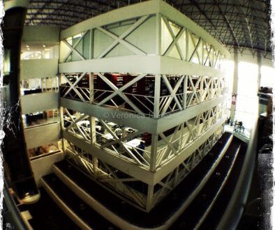 Biblioteca Nacional de Ciencia y Tecnología