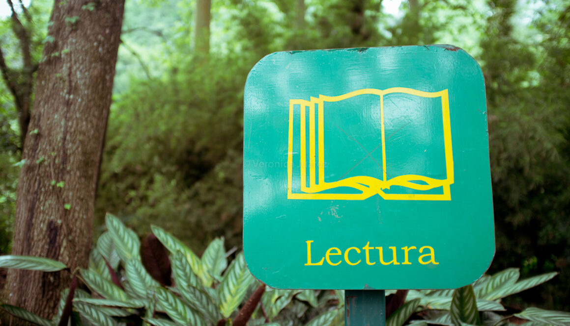 diadellibro-7