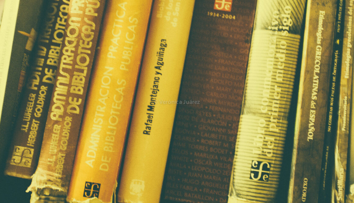 biblioteconomia shelf