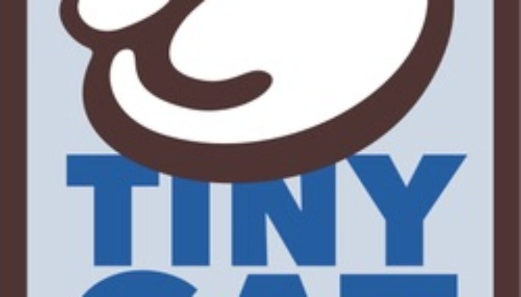 tiny cat
