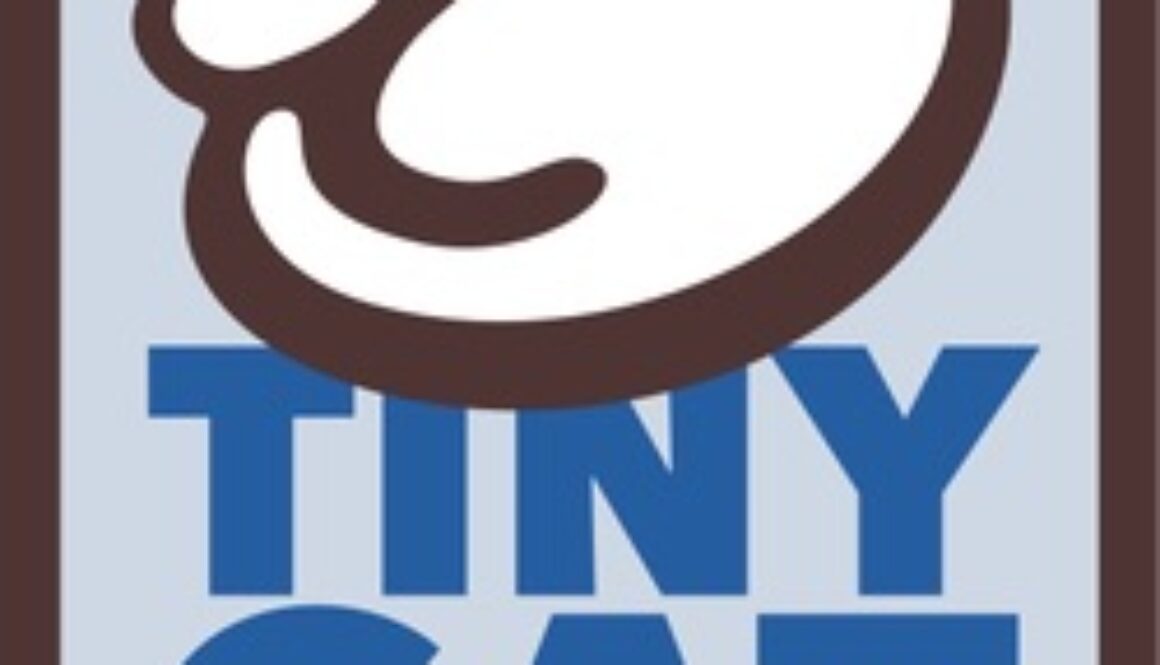 tiny cat