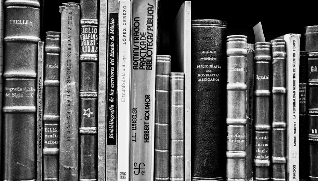 dia nacional bibliotecario-2 dia nacional bibliotecario-2