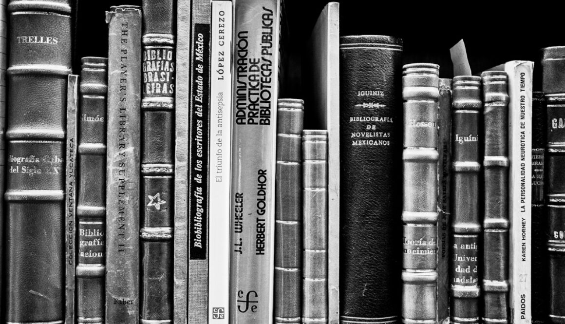 dia nacional bibliotecario-2