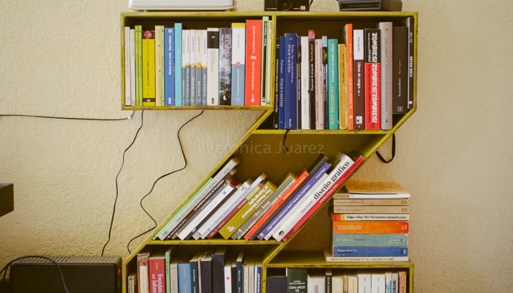 dia nacional del libro