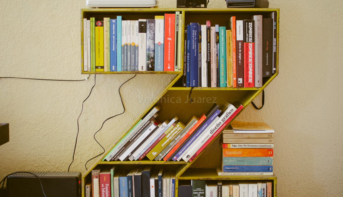 dia nacional del libro