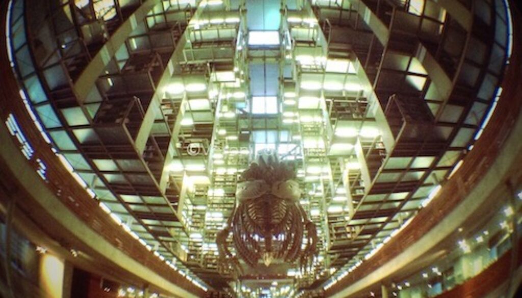 biblioteca vasconcelos