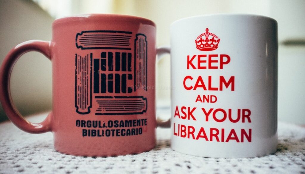 dia bibliotecario-2