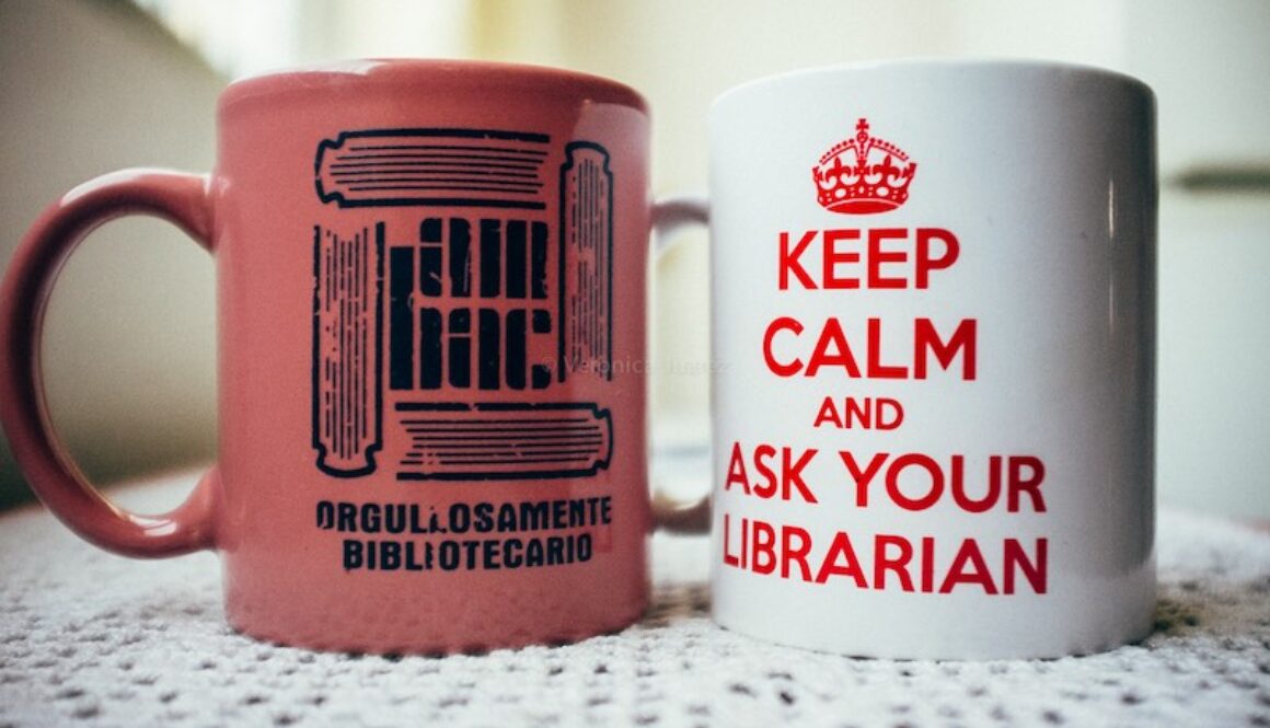 dia bibliotecario-2