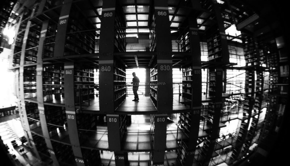 nombres alternativos para biblioteca