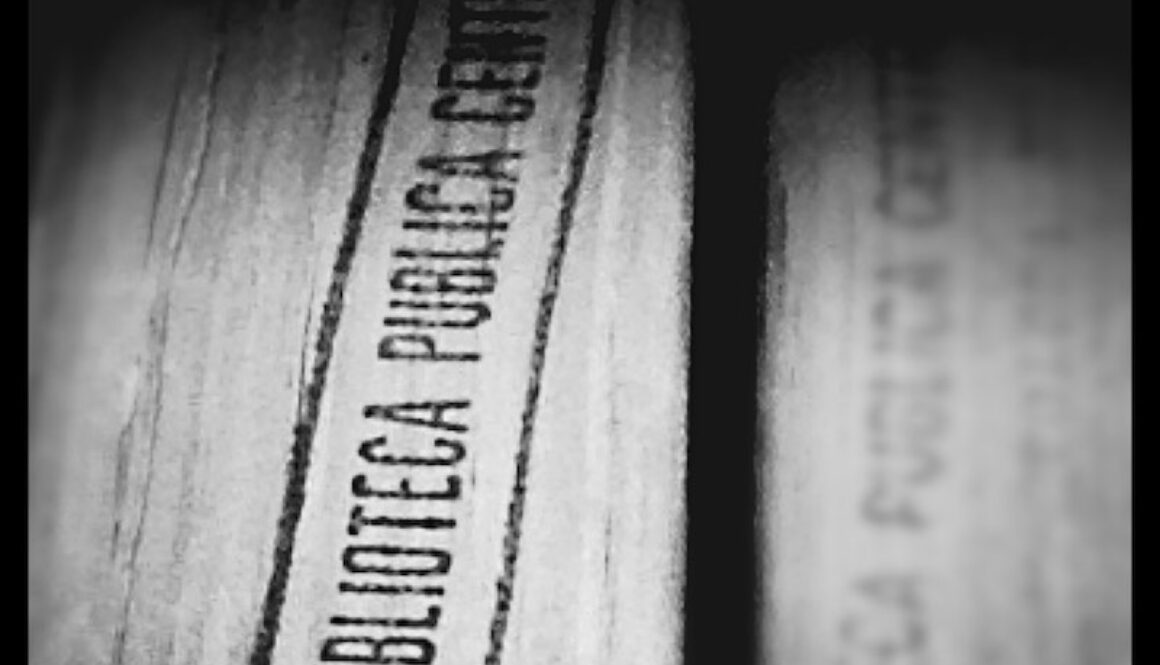 libro de la biblioteca
