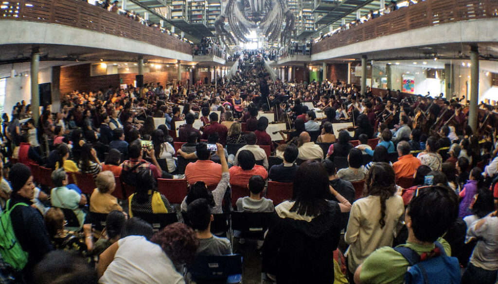 las bibliotecas vs amazon