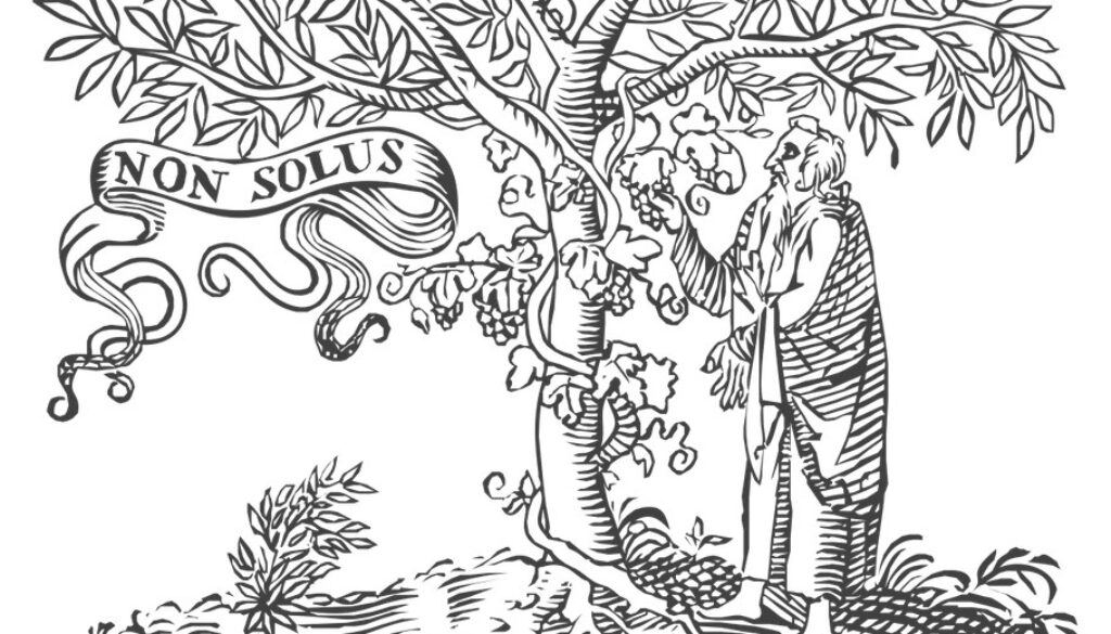 Elsevier logo acceso abierto