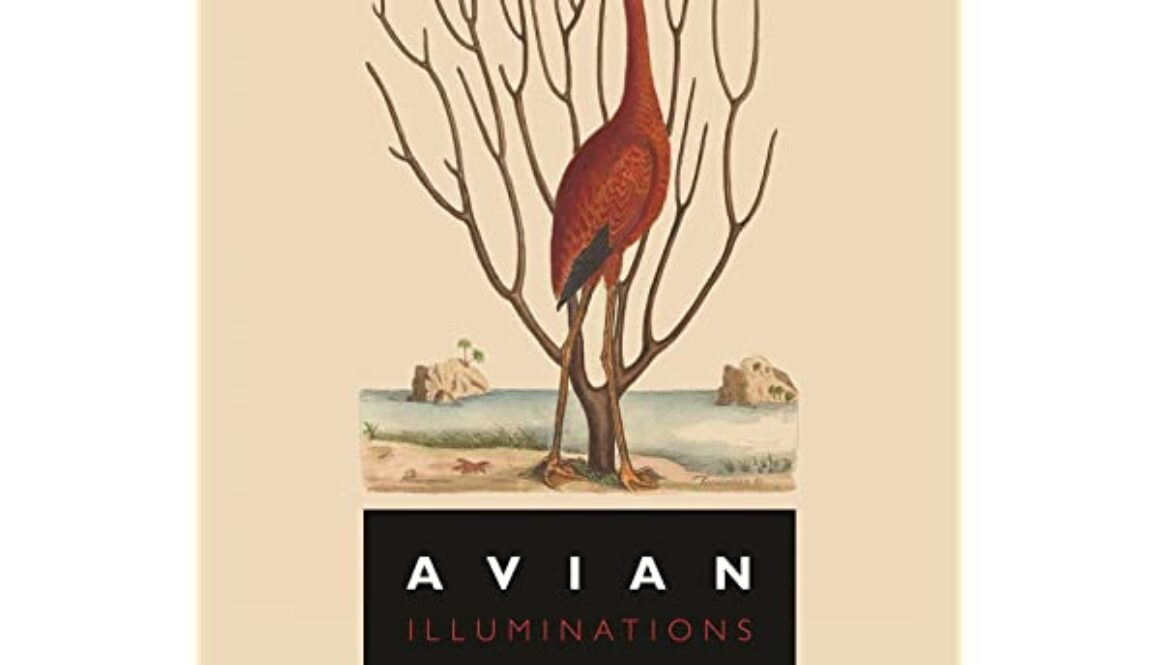 top de lecturas 2022