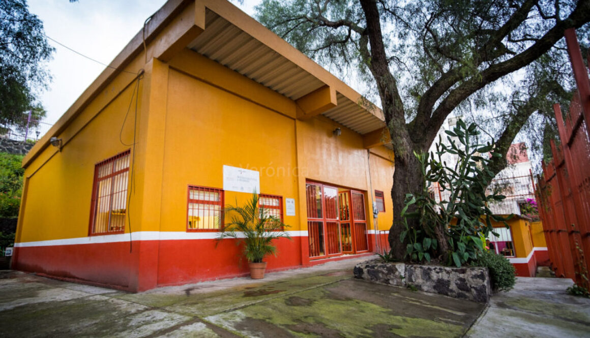 las bibliotecas y los jardines