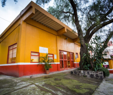 las bibliotecas y los jardines