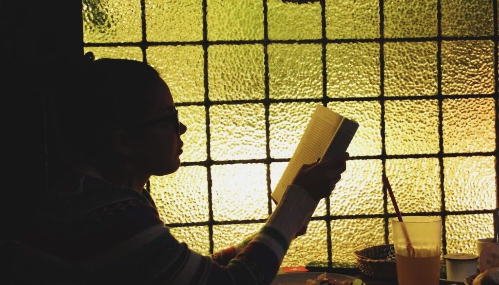 piratería de libros