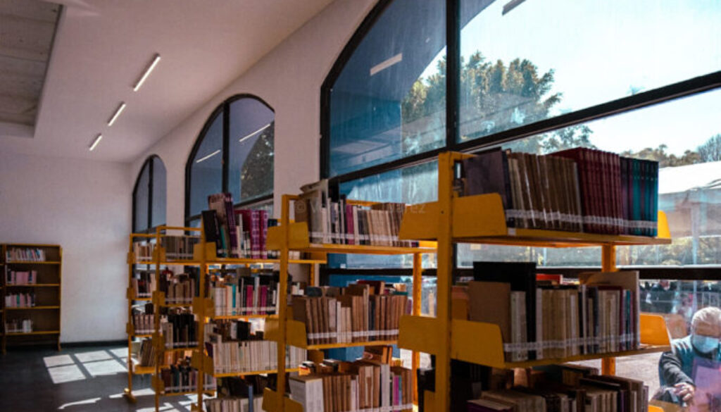 Día Internacional de las Bibliotecas 2024
