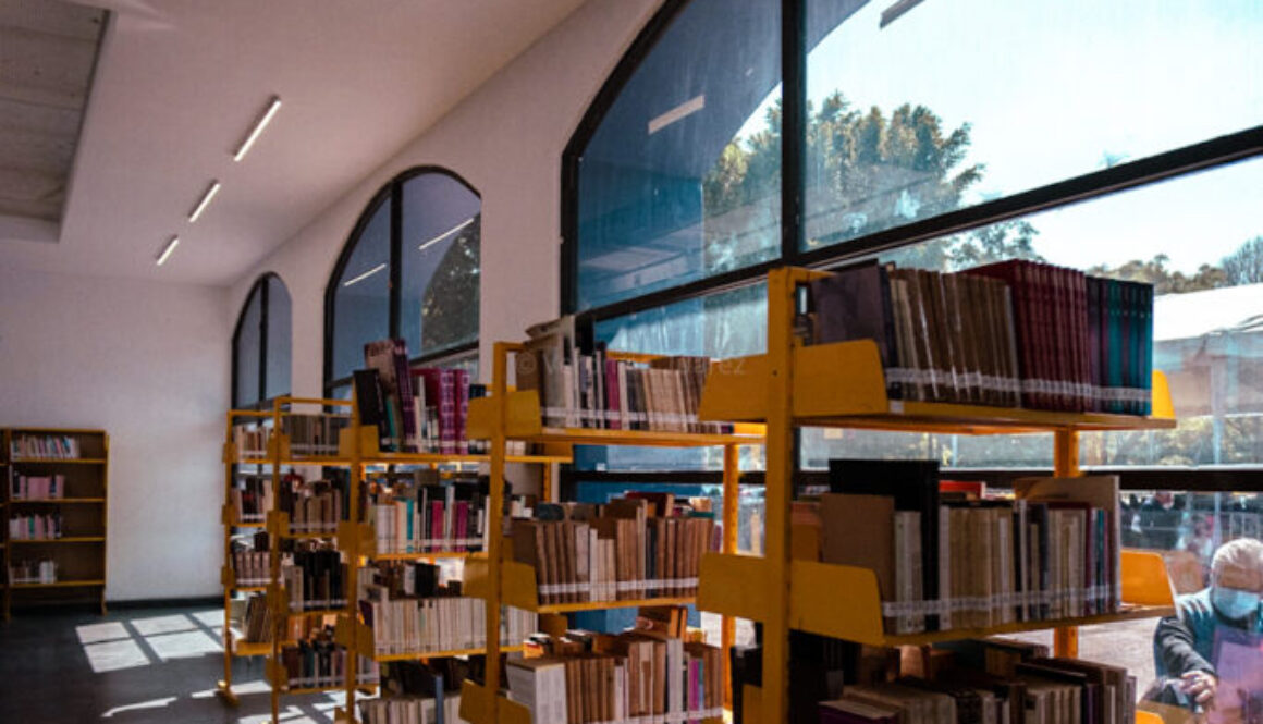 Día Internacional de las Bibliotecas 2024