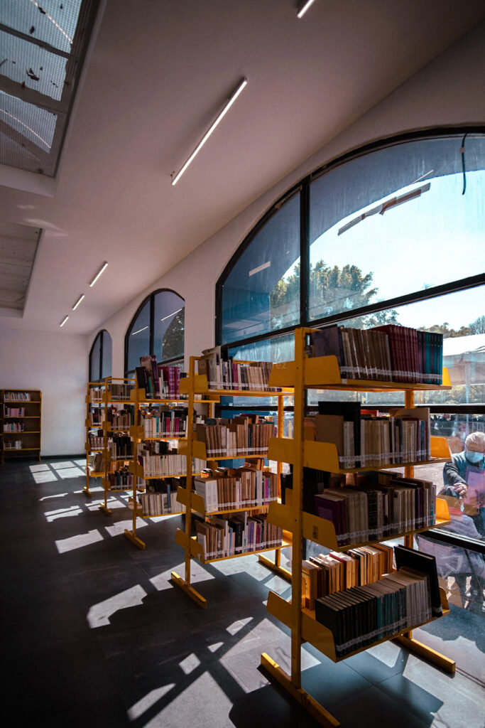 Día Internacional de las Bibliotecas 2024