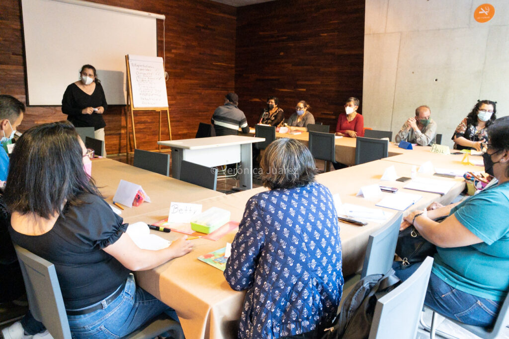 bibliotecarias en la docencia